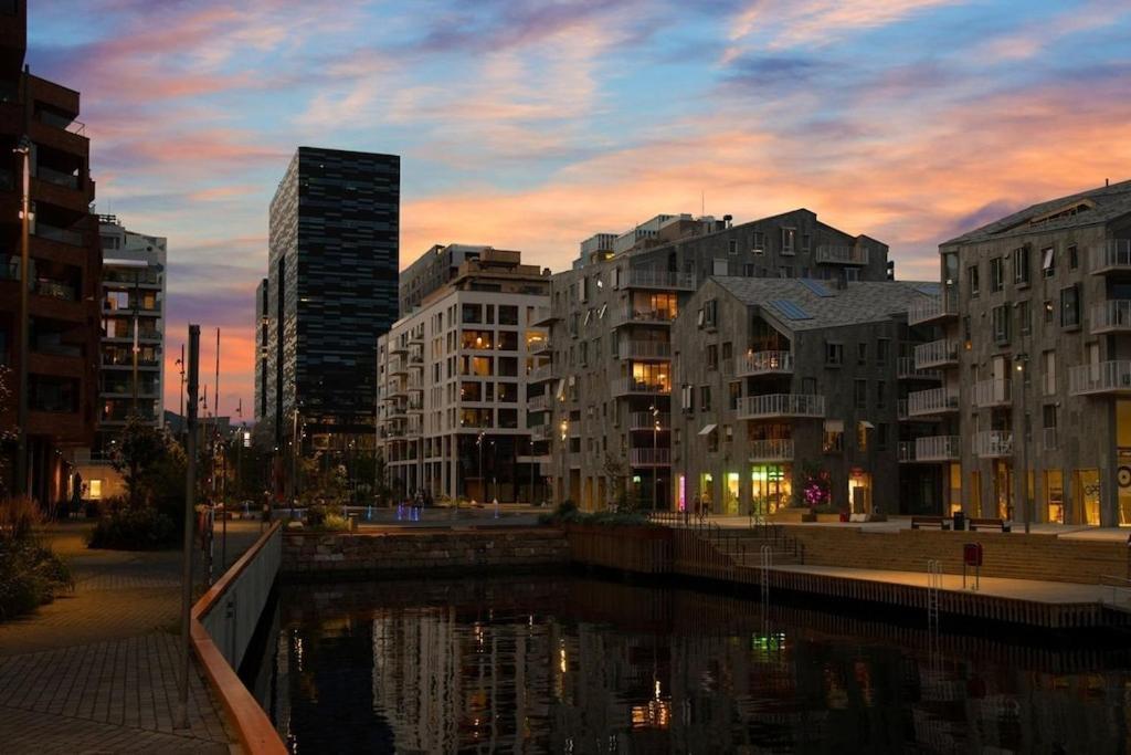 Lovely Central Apartment With Two Large Bedrooms Nearby Oslo Opera, Vis A Vis Botanical Garden Экстерьер фото