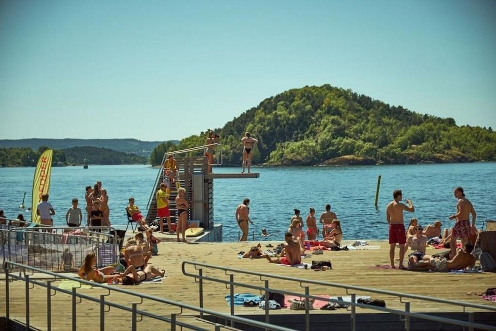 Lovely Central Apartment With Two Large Bedrooms Nearby Oslo Opera, Vis A Vis Botanical Garden Экстерьер фото